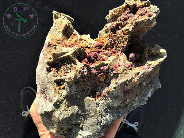 淡紅銀礦，摩洛哥，瓦爾扎扎特，