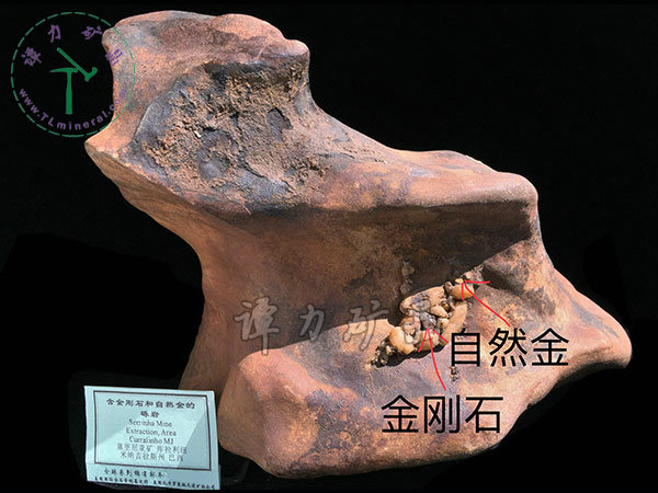 含金剛石和自然金的礫巖，巴西，米納斯吉拉斯州