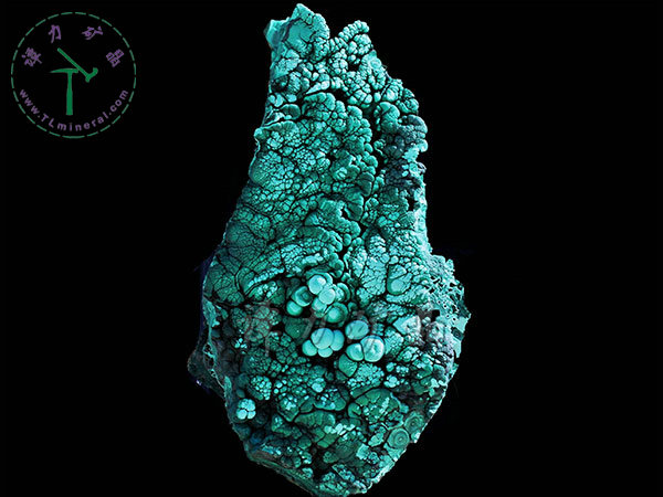 孔雀石開屏，孔雀石，剛果