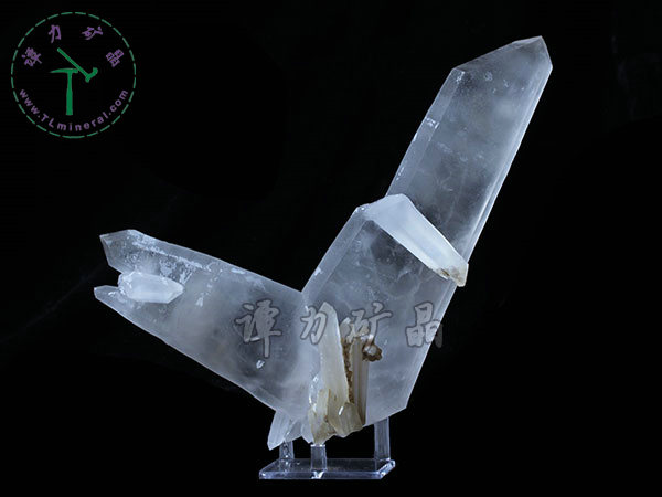 日本律雙晶，內(nèi)蒙古內(nèi)蒙古，東烏珠穆沁旗，額仁高畢,六井,976層,2016年產(chǎn)出