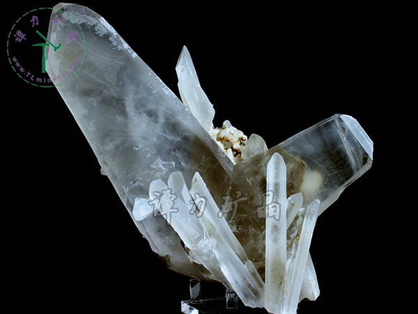 日本律雙晶，內(nèi)蒙古東烏珠穆沁旗，額仁高畢,六井,976層,2016年產(chǎn)出