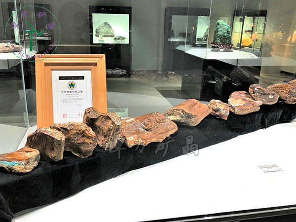 基尼斯之最-歐泊王，210cm,澳大利亞