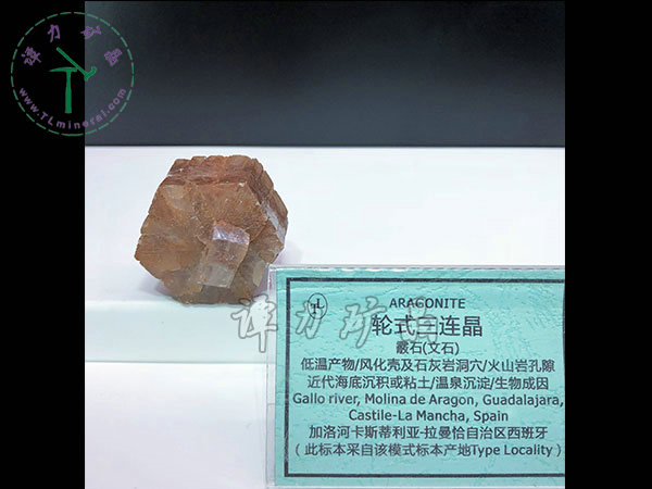 輪式三連晶霰石，西班牙