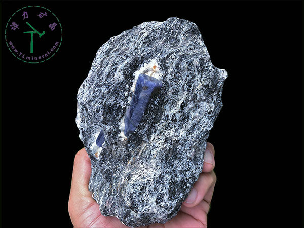 藍(lán)寶石+片麻巖，馬達(dá)加斯加，--13x9x5，主晶：4.0x1.5x1.5