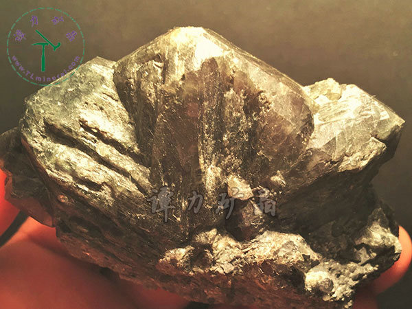 亞歷山大石（變石）輪式雙晶+津巴布韋，12x10x5.0(鎢絲白熾燈下拍攝)