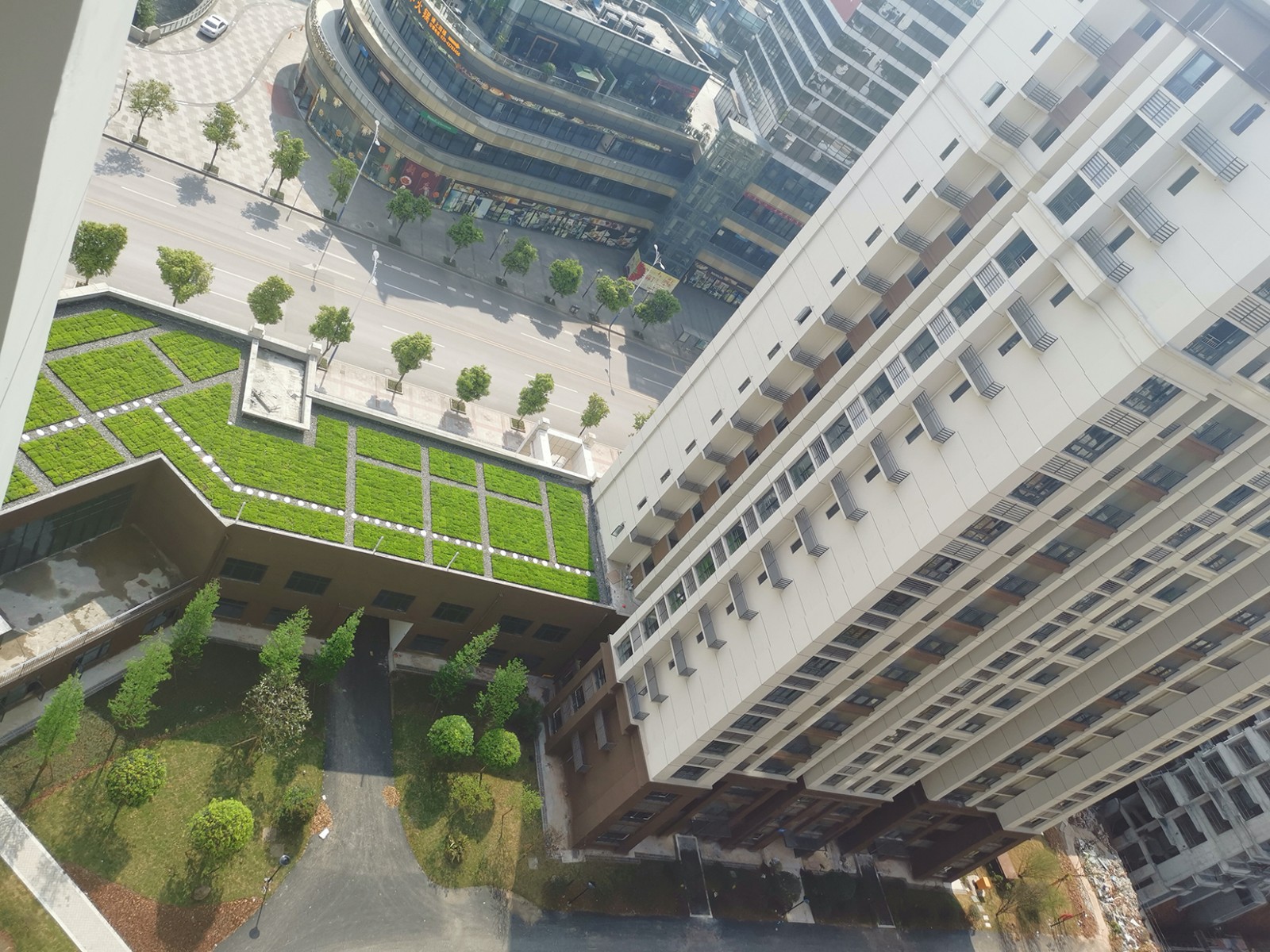 1621819274942654.jpg 屋頂綠化現(xiàn)場照片 (3)縮小版.jpg