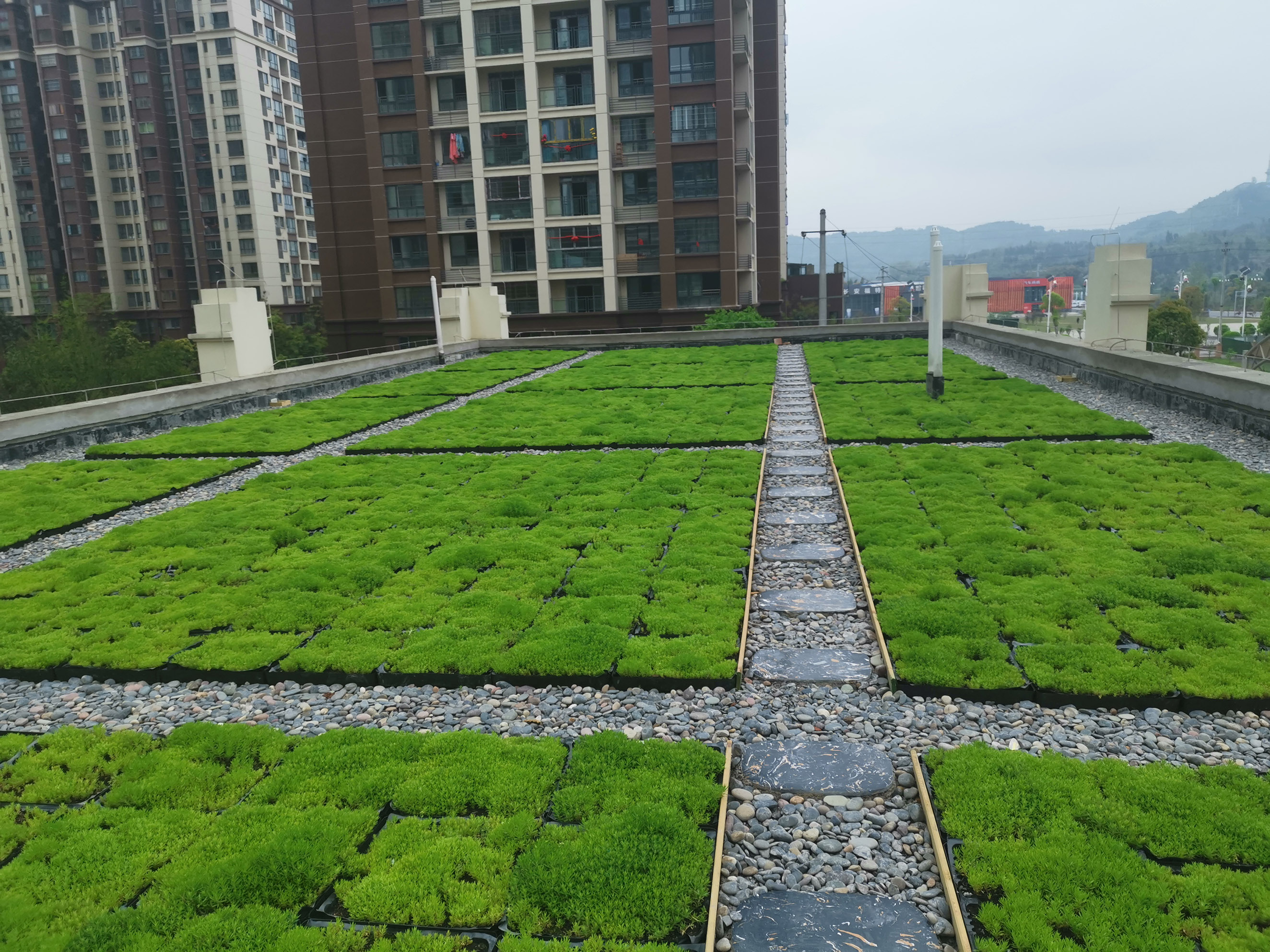 1621819841113922.jpg 屋頂綠化現(xiàn)場照片 (11)縮小版.jpg